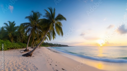 beach with coconut trees © chris