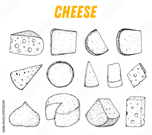 Cheese sketch, hand drawing elements. Hand drawn sketch. Retro food background. Different cheese kinds . Dairy farm products cheese.