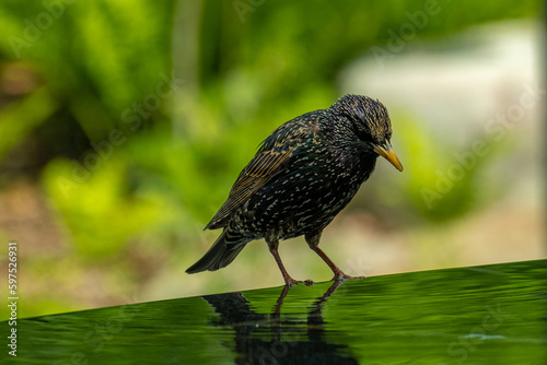 Considering a Drink