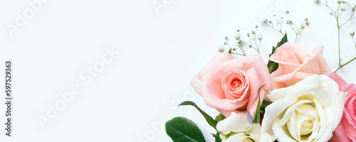 Roses Flowers White Background 