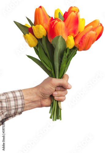 Man holding tulips isolated on white background #597530198