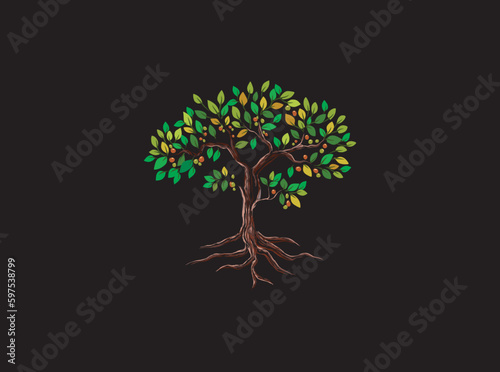 mangosteen fruit tree vector isolated on black background