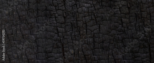 Obraz na płótnie Burned wood texture