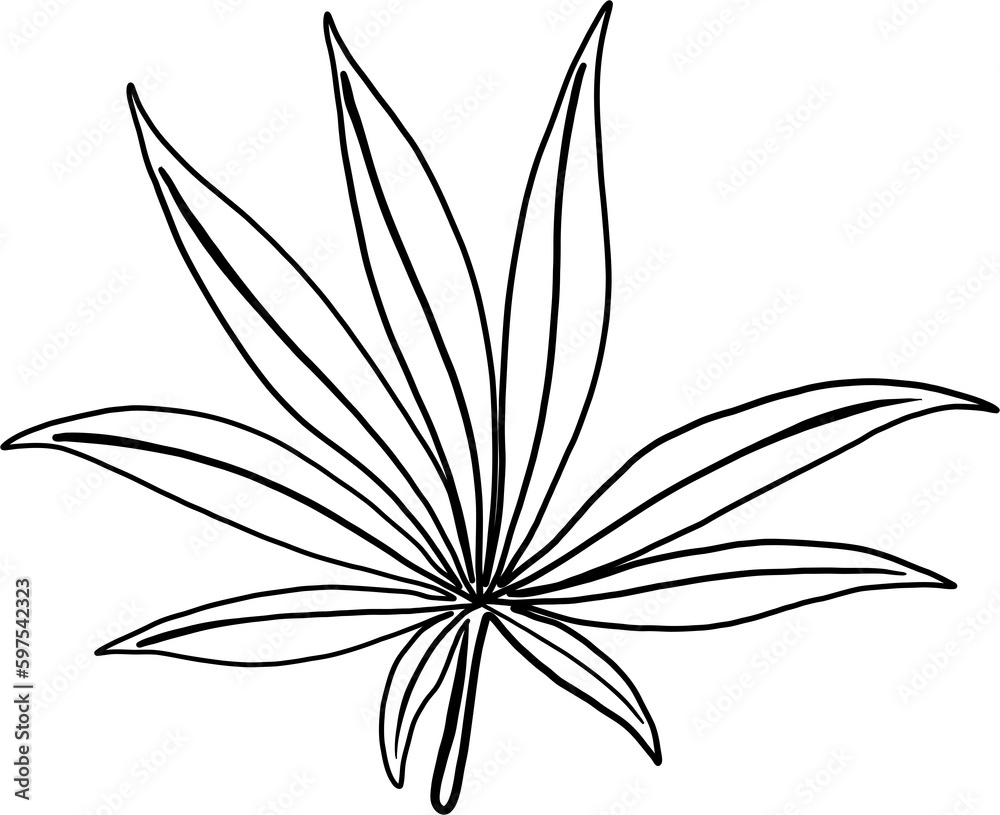 simplicity cannabis leaf freehand drawing simplicity cannabis leaf freehand drawing