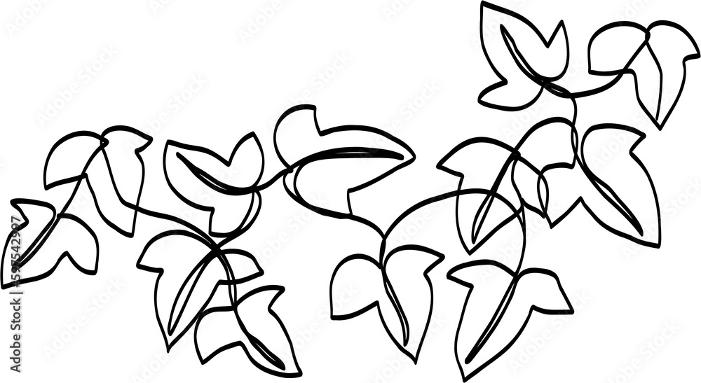 simplicity ivy continuous freehand drawing. simplicity ivy continuous freehand drawing.