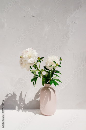 Photo of a beautiful natural gorgeous white peony flowers in a vase outdoor on a harsh sunlight
