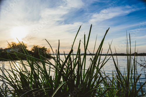 grass and water