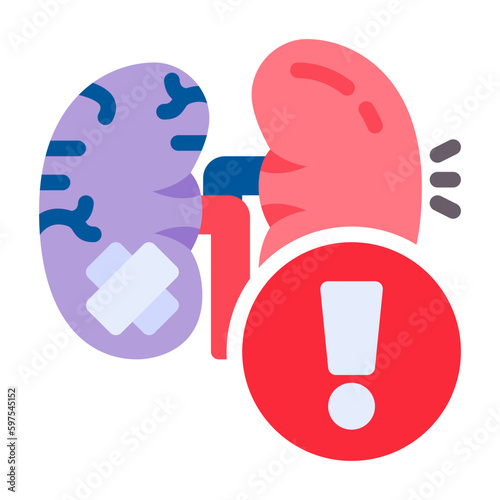 Kidney Icon