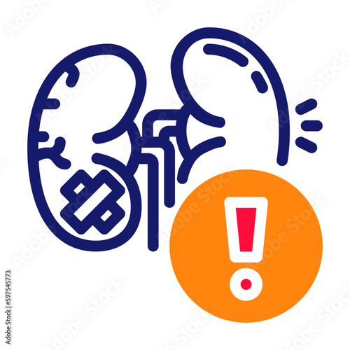 Kidney Icon