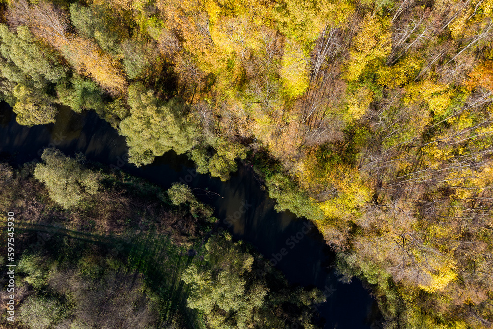 Autumn forest on the bank of a small river, aerial view