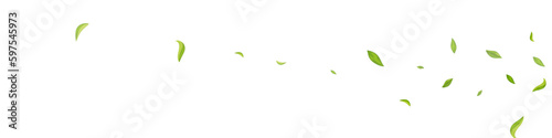 Mint Greens Falling Vector White Panoramic