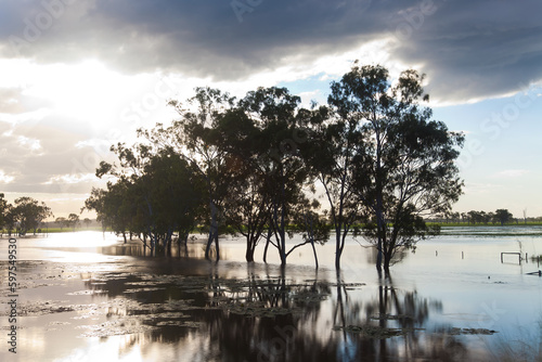 Trees & flooded creek, nr Rockhampton, Queensland, Australia