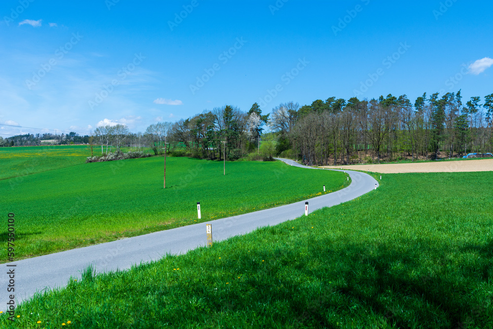 Empty road on a sunny summer day