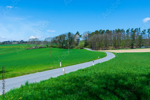 Obraz na płótnie Empty road on a sunny summer day w salonie
