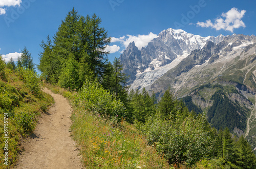 The Mont Blanc massif from Val Ferret valley in Italy.