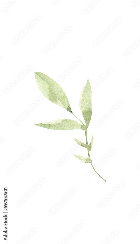 Watercolor greenery clipart. Leaf png image. Watercolor greenery clipart. Leaf png image.