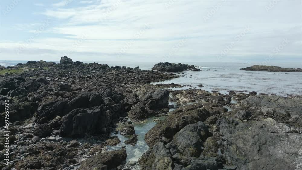 Rocky Shore on Canadian West Coast of Pacific Ocean. Sunny Day. Vancouver Island near Ucluelet and Tofino, British Columbia, Canada. Rocky Shore on Canadian West Coast of Pacific Ocean. Sunny Day. Vancouver Island near Ucluelet and Tofino, British Columbia, Canada.