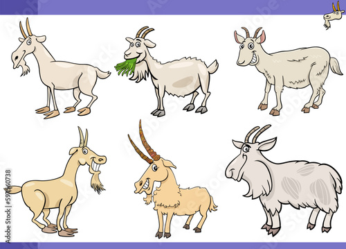 cartoon goats farm animals comic characters set © Igor Zakowski