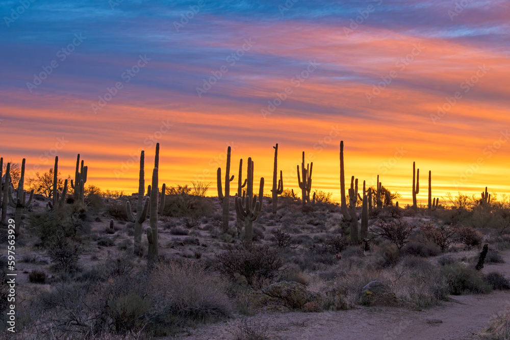 Vibrant Desert Sunrise Landscape Near Phoenix Arizona 
