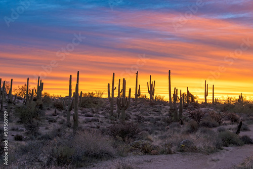 Vibrant Desert Sunrise Landscape Near Phoenix Arizona © Ray Redstone