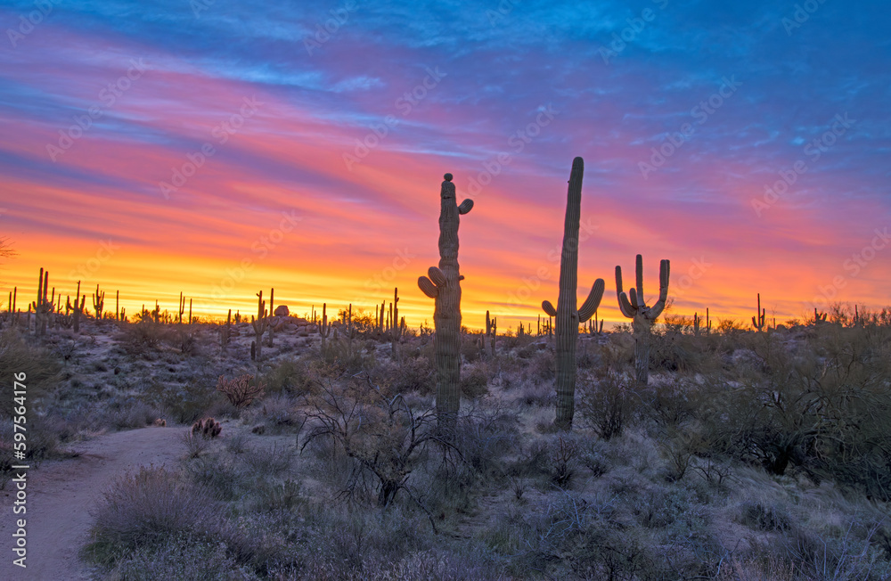 Sunrise Skies Along A Desert Hiking Trail In Arizona
