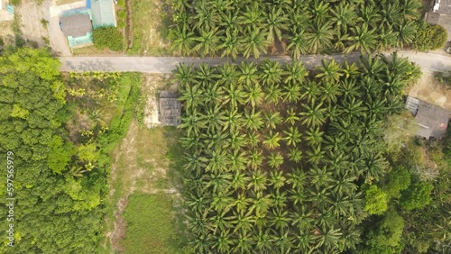 High angle video, Surat Thani Province, near the Tapee River Khao Ban Rim Nam Community Road photo