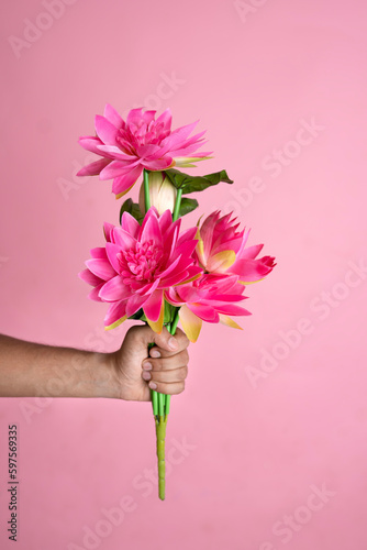 Hand holding beautiful lotus flower isolate on pink colour background