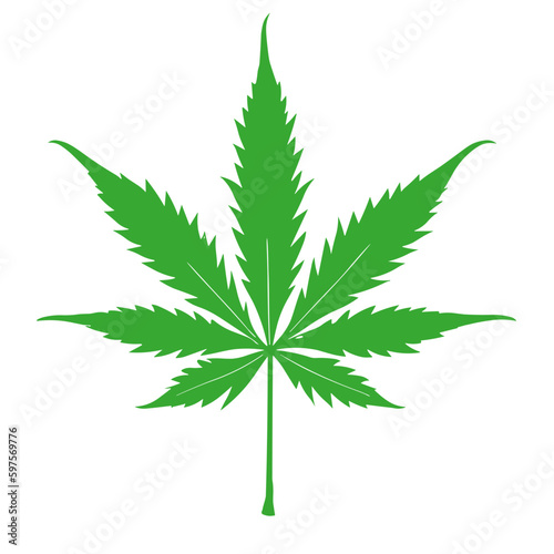 cannabis leaf vector illustration
