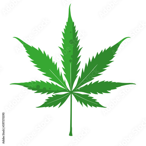 cannabis leaf isolated on white