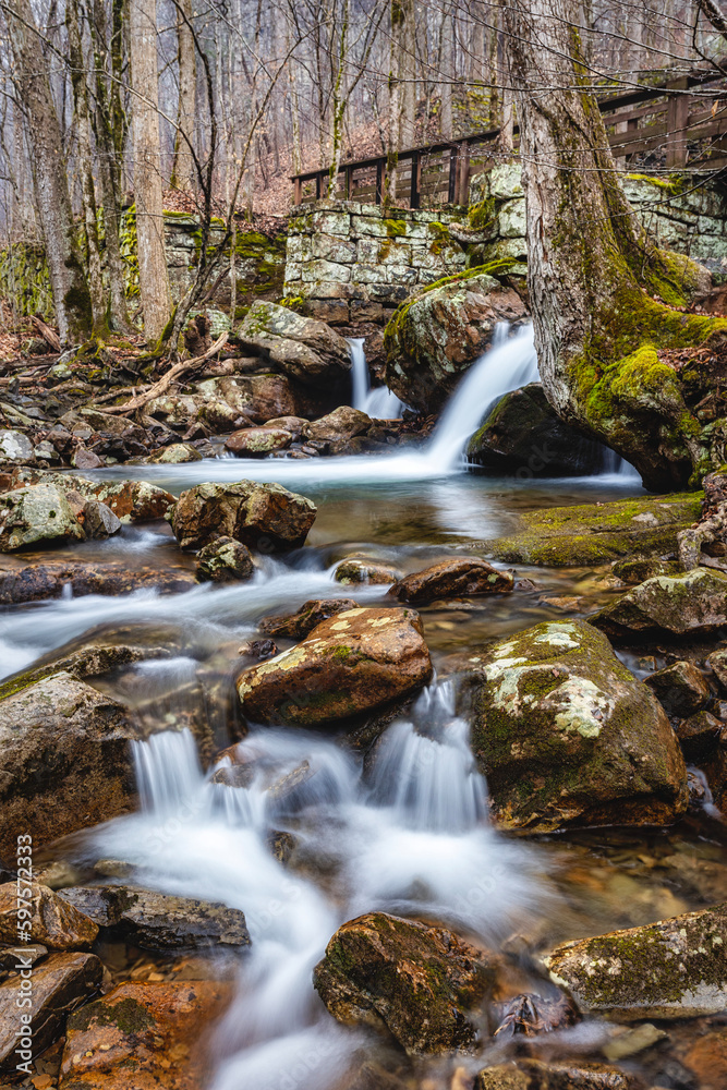 waterfall in the forest waterfall in the forest
