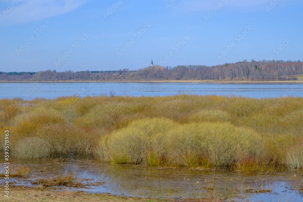 Spring landscape by Lake Burtnieku. The view from the birdwatching tower
