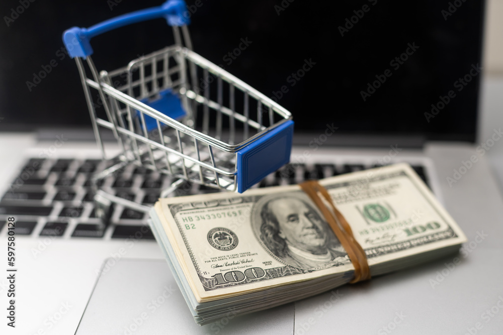 Small shopping trolley with dollars banknotes on white background