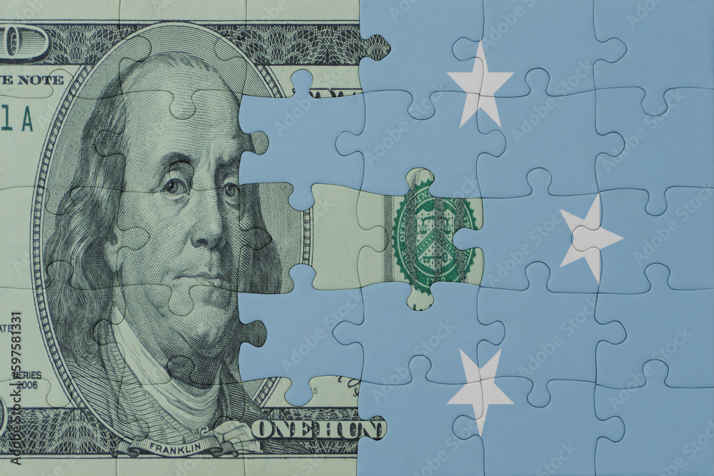 puzzle with the national flag of Federated States of Micronesia and dollar money banknote. macro.concept.