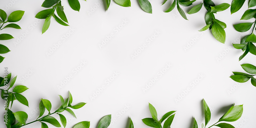 Natural green branches with leaves on empty light grey background with copy space. Trendy banner with fresh plant. Eco summer concept. Skin care product advertising. Top view. Minimal composition.