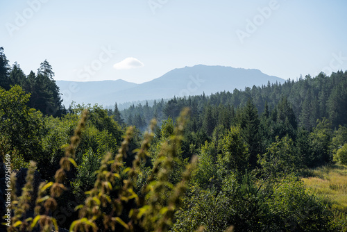 The peak in the distance can be seen against the background of the forest, a mountain range against the sky, high mountains, taiga terrain, panorama of the peak of Iremel, Russia, Bashkortostan. photo