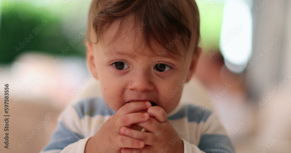 Baby trying lemon for first time, infant toddler face expression grimacing Baby trying lemon for first time, infant toddler face expression grimacing