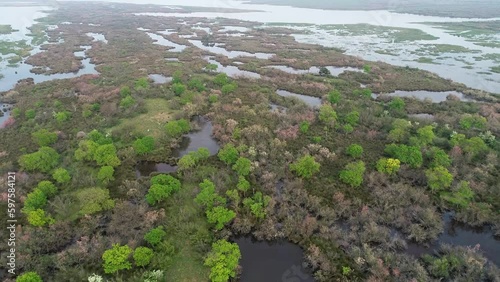 Aerial view of Karacabey Longoz Forests in Bursa. formed as a result of overflow of river and covered with forest waters. photo