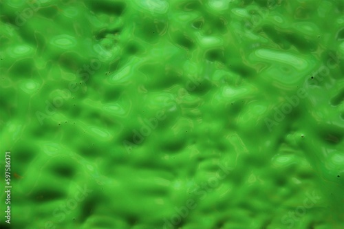 Wet paint. Green rough background texture.