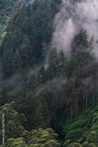 misty morning in the mountains