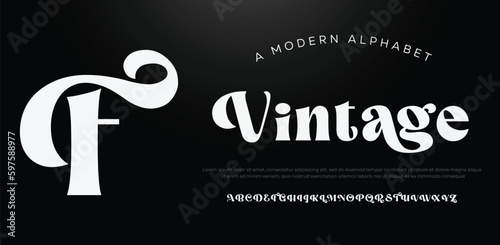 Luxury wedding alphabet font logo. Typography decorative elegant classic lettering vintage retro for logos serif fonts and numbers. vector illustration