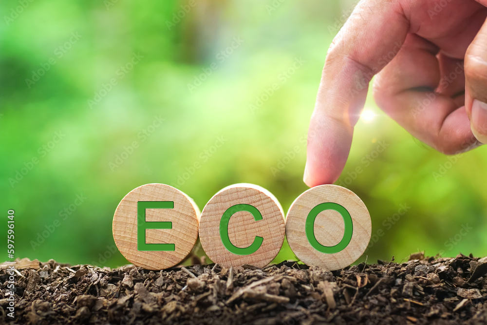 Words ECO on wooden cubes with finger touch on green sunny background. save clean planet, Saving environment, ecology concept.eco-friendly agricultural products. Reducing human intervention in ecosyst - obrazy, fototapety, plakaty 