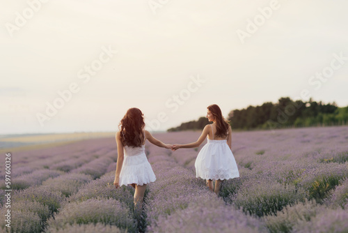 Beautiful young sisters walking the field of lavender in Provence, France. Back view. Violet in nature. Back view of beautiful girls in a dresses. 