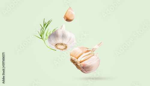 Fototapeta Naklejka Na Ścianę i Meble -  Creative food concept. Minimalistic light green background with natural root vegetables. Flying fresh organic garlic with green leaves dill. Spicy seasoning for cooking. Copy space. Horizontal banner