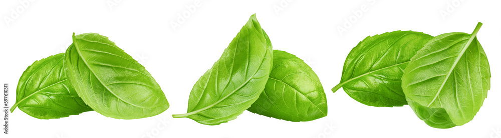 Obraz premium basil, isolated on white background, full depth of field