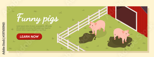 Funny pigs banner