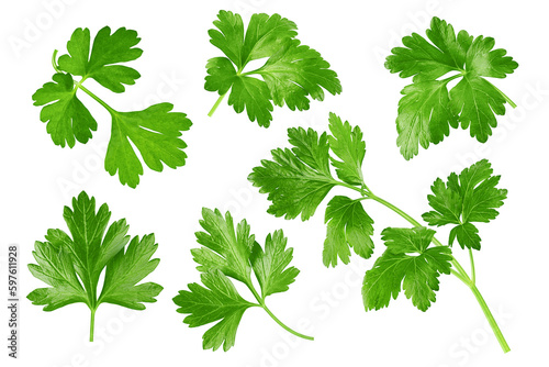 Fototapete Parsley isolated on white background, full depth of field