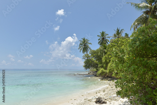 Beautiful tropical Maldives island with white sandy beach and sea © absattar