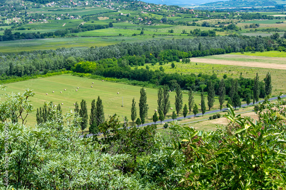 A green summer landscape with a road, a row of trees, hills, and houses in Hungary in the Balaton highlands