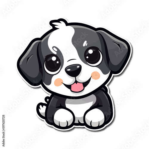 black and white cute puppy