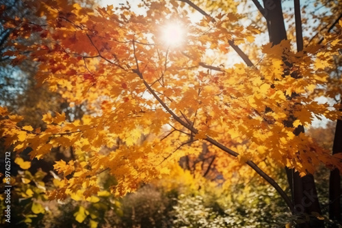 autumn landscape and sunlight.. AI generative © SANGHYUN